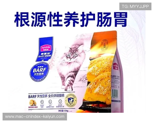 全网热门猫粮成分深度测评教你避开诱食剂和低质原料陷阱选对高蛋白主食