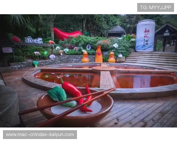 冬日雪景与暖汤交织的秘境之旅不可错过的人气温泉推荐